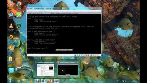 Konfigurasi DNS Server Debian 8 Jessy
