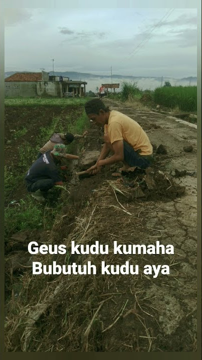 duit geus te boga gajihan lila