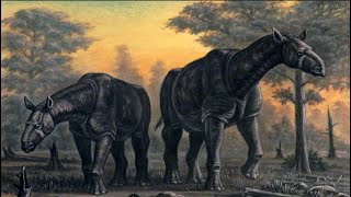 Paraceratherium  Ancient Animal