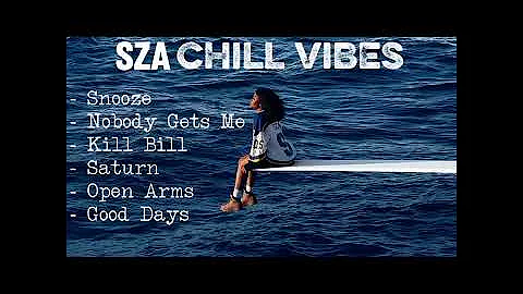 SZA - Snooze | Nobody Get me | Chill Vibes playlist 2025 - 2026