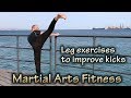 Leg exercises to improve kicks