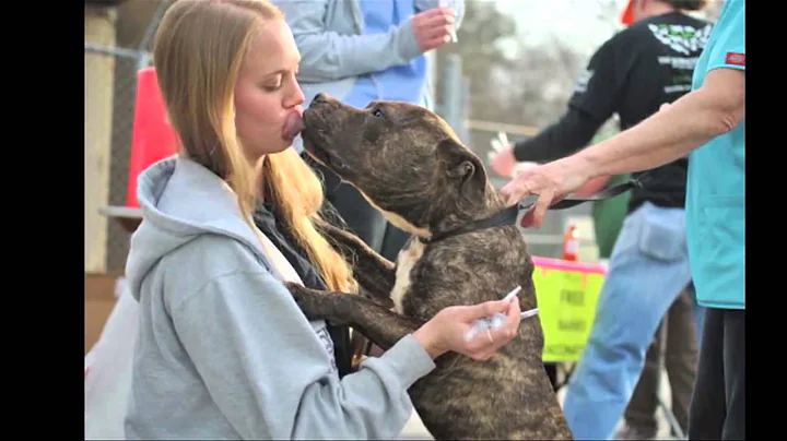 Meet HSUS Georgia State Director  Debra Berger
