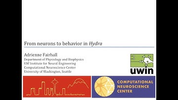 From neurons to behavior in Hydra - Adrienne Fairhall