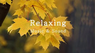 Erik Satie - Gymnopédie No.1 l Relaxing Music l Beautiful Piano l Calm l Soothing