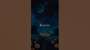اكتب شيء تؤجر عليه 🤎🎧 #القارئ ياسر الدوسري