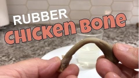 This Chicken Bone Bends Like Rubber (Here