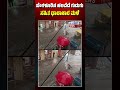 Bangalore Heavy rain :  ಬೆಂಗಳೂರಿನ ಹಲವೆಡೆ ಗುಡುಗು ಸಹಿತ ಧಾರಾಕಾರ ಮಳೆ