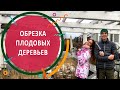 ОБРЕЗКА ПЛОДОВЫХ ДЕРЕВЬЕВ | Весенняя обрезка и обработка в саду с Алексеем Соловьёвым