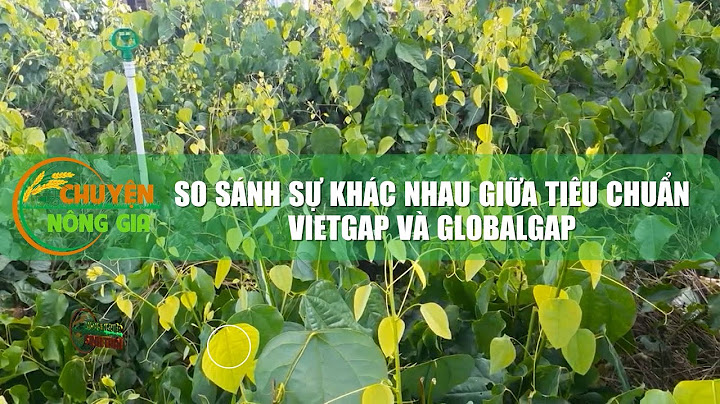 So sánh tiêu chuẩn vietgap với các tiueeu chuẩn khác