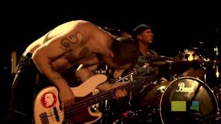 Red Hot Chili Peppers Live in Milan (HD) - Can't Stop