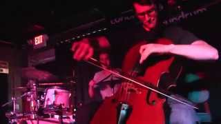Steve Vai - "Bad Horsie" (Cello Cover) chords