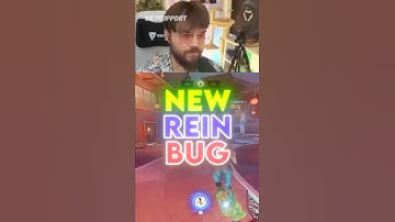 The WORST Reinhardt Bug #Overwatch2 #gaming #overwatch