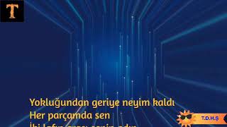 Ayla Çelik & Hakan Altun-Seviyoruz Hâlâ (Sözleri/Lyrics) Resimi