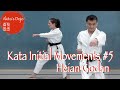 Kata Initial Movements #5  型の最初の動き Heian Godan   平安5段 【Akita's Karate Video】
