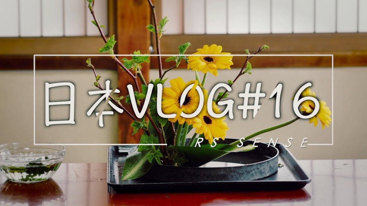 在传统日式旅馆上一堂草月流 日本vlog 16 Youtube
