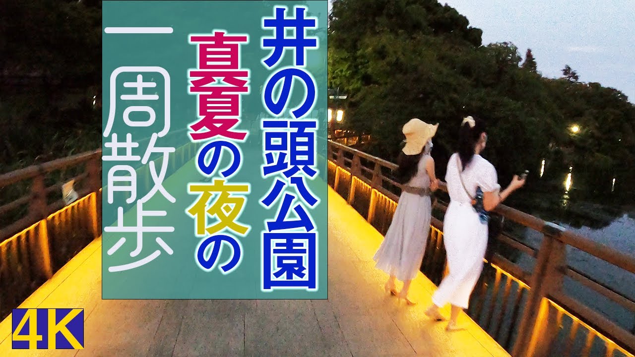 住みたい街1位 井の頭公園 真夏の夜の一周散歩 Youtube