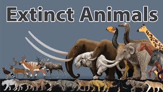 Extinct Animals Size Comparison in 2024 | Prehistoric Animals Size Comparison in 2024