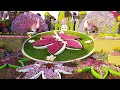 #Dubai_2023/ #Miracle_Garden/ #ԴՈՒԲԱՅ #ՀՐԱՇՔՆԵՐԻ-ՊԱՐՏԵԶ