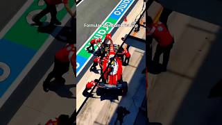 Miami Grand Prix 2026 Paddock Club VIP Tour F1 Luxury Inside Nirvana the Shih Tzu