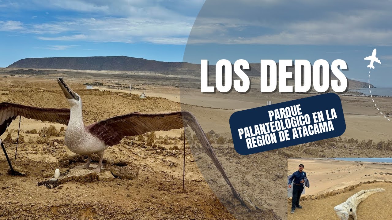 Parque Paleontológico Los Dedos