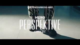 Mero-Perspektive