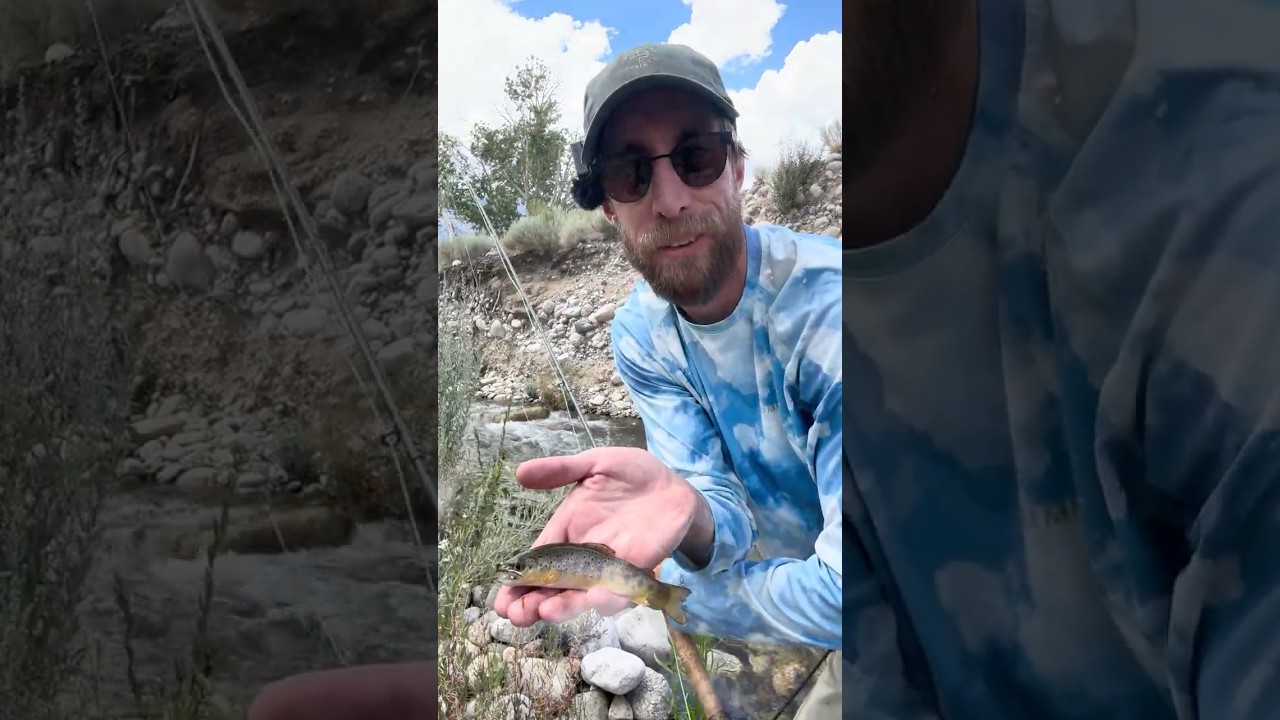 Stop Fishing Sierra Rivers This Summer