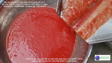 Máy vắt nước cốt cà chua, vắt nước cốt ớt - Điện Cơ Xanh - 0984467870 - 0342990084