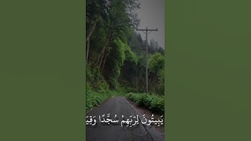 القران الكريم تلاوة ماهر المعيقلي سورة الفرقان #اكسبلور #المصحف #راحة_نفسية