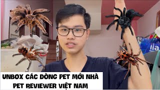 Unbox lần hai các dòng pet mới trên kênh Pet Reviewer Việt Nam/ Unboxing typical pet on channel