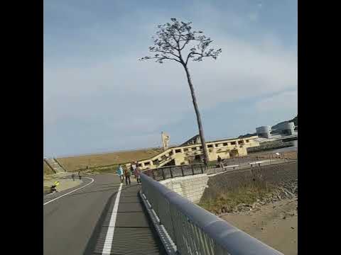 陸前高田市奇跡の1本松 YouTube