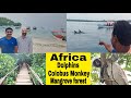 Dolphins | Red Colobus monkey | Zanzibar Island | Tanzania | Telugu Traveller