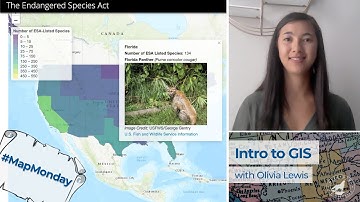 #MapMonday - Intro to GIS