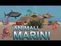 Animali marini - AlexKidsTV