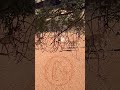 Elevate your Archery - End 2025 on a high!