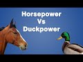 Horsepower Vs Duckpower