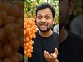 Orange grapes 🍇🍇#shortvideo #shortsfeed #shortsvideo #shorts #short #viral #foodie #food #funny