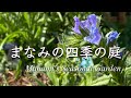 《春を感じ動き出したお花》お世話が出来なかった季節