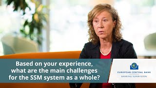 Margarita Delgado Interview: What are the main challenges for the SSM system as a whole?