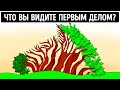 12 оптических иллюзий, которые запутают ваши глаза