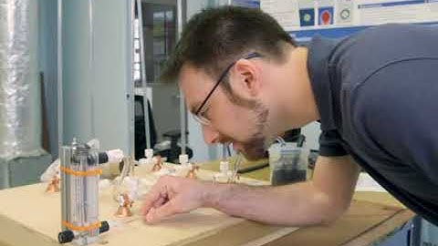 Piping Networks and Pressure Losses