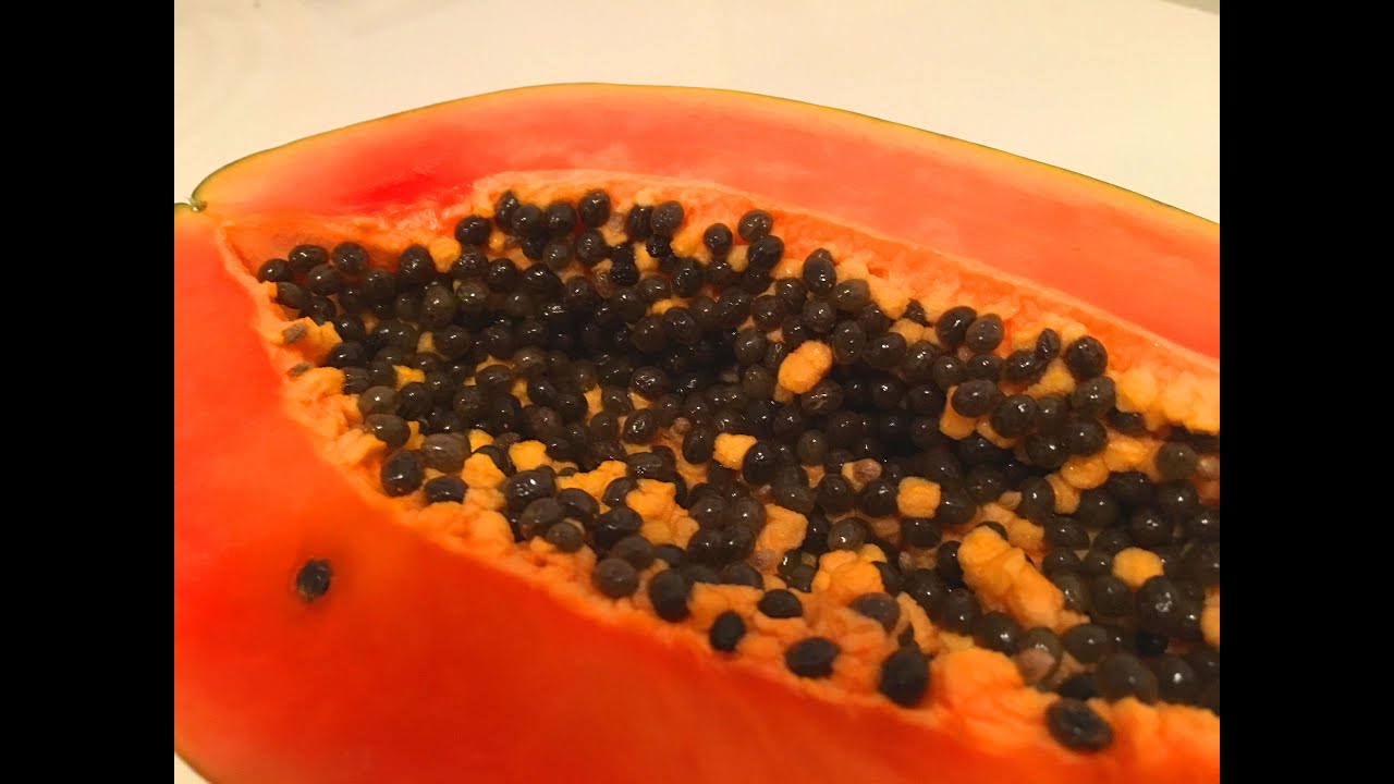 Papaya Diät Samen