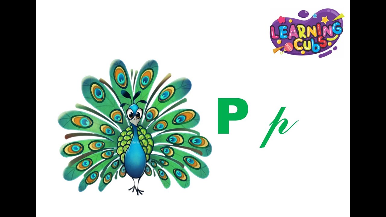 Show N Tell Part 1 Letter Pp Peafowl YouTube