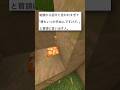 結論から言うと #マイクラ #マインクラフト #shorts