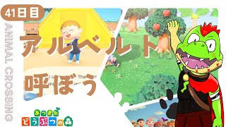 【41日目】アルベルトくんをよぼう！【川鰐グラムのあつまれどうぶつの森実況】（あつ森・ポケ森）