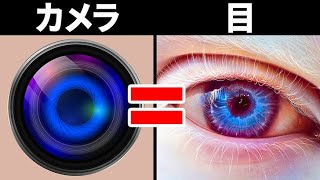 人間の体とスマホの似ているところ