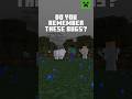 WHAT IS YOUR FAVORITE BUG FROM MINECRAFT?
