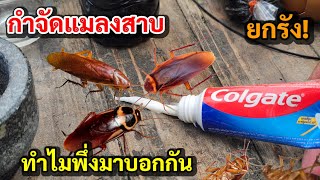 Just found out!! You can eliminate an entire cockroach nest in one night. It's effective and work...