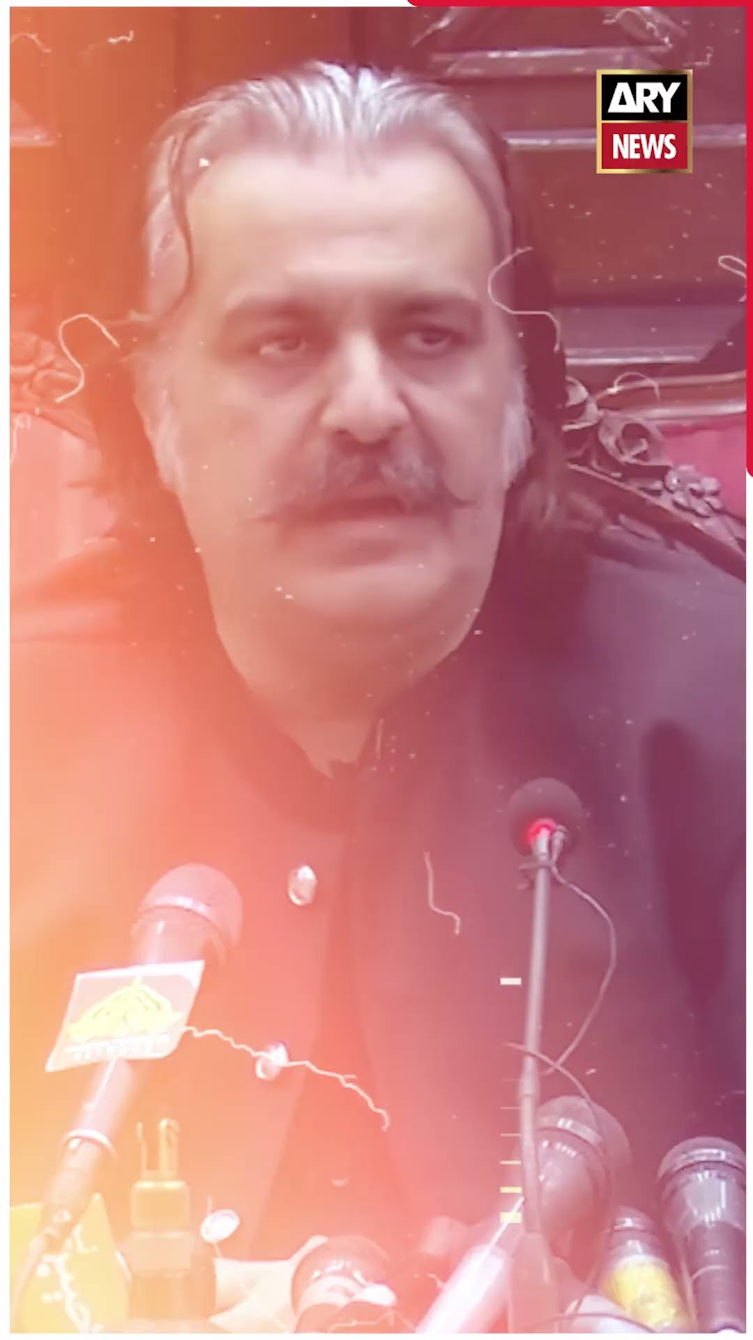 Ali Amin Gandarpur Statement on Bushra Bibi #imrankhan  #shorts