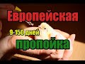 Европейская пропойка цыплят несушек и яичных пород кур 9-150 дней! Одобренная Российскими ветврачами