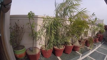 GoPro Hero 4 Session in depth Review